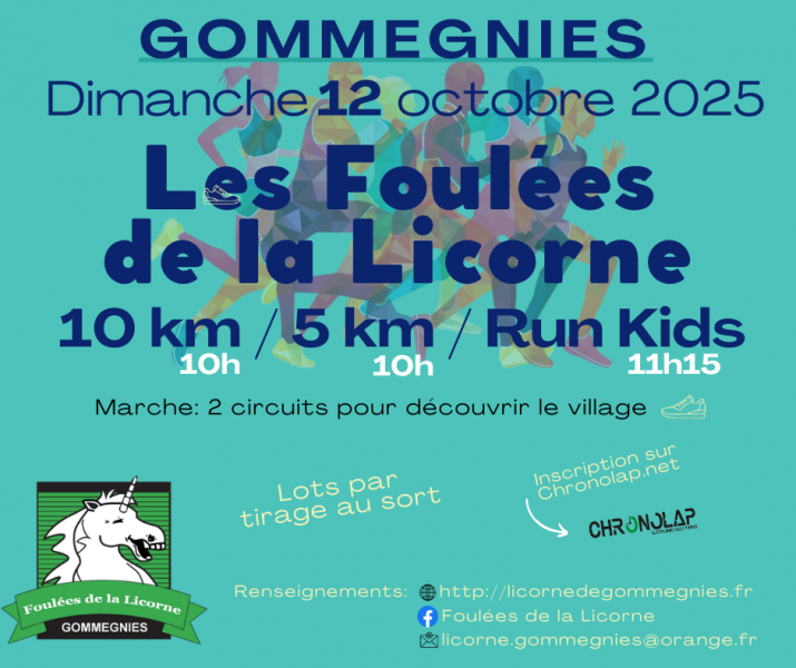 Ecran Info Gommegnies-15